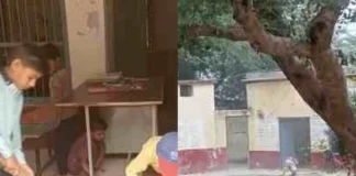 स्कूल में साफ-सफाई करते बच्चों का वीडियो वायरल