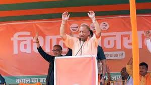 yogi