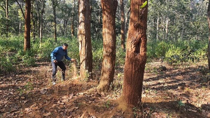 jangal-2