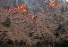 चमोली के जंगलों में आग लगने का सिलसिला नहीं थम रहा