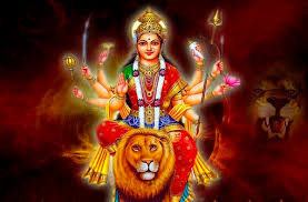 maa
