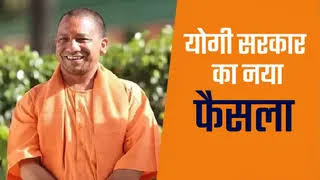 yogi