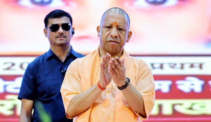 Yogi_01-12.jpg