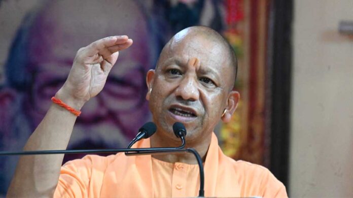 Yogi_01-43.jpg