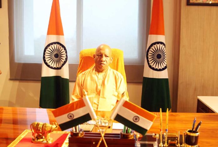 Yogi_02-17.jpg