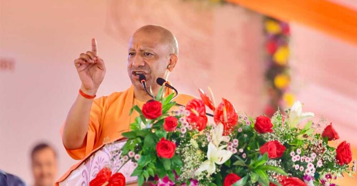 Yogi_02-32.jpg