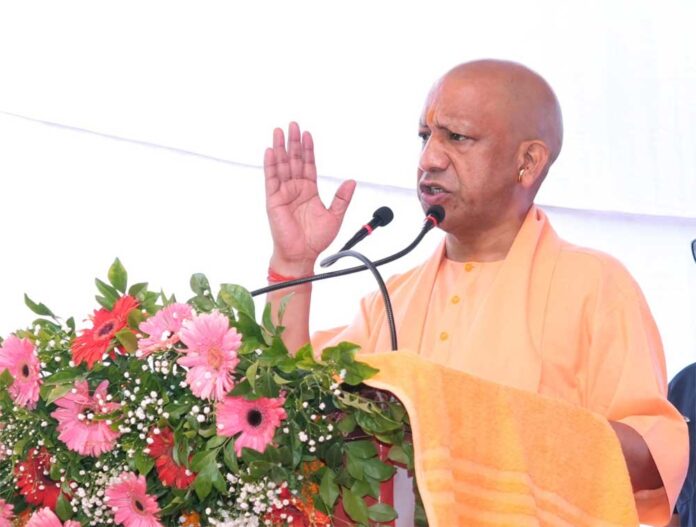 Yogi_02-6.jpg