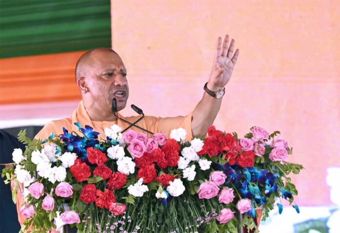 Yogi_03-14.jpg