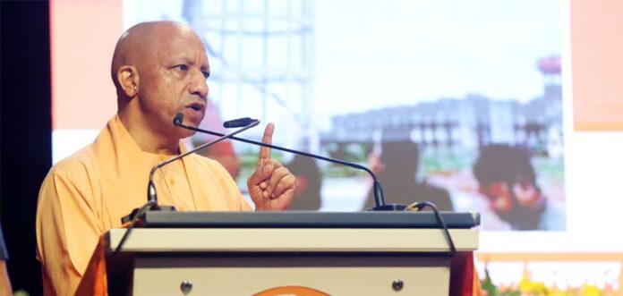 Yogi_03-18.jpg