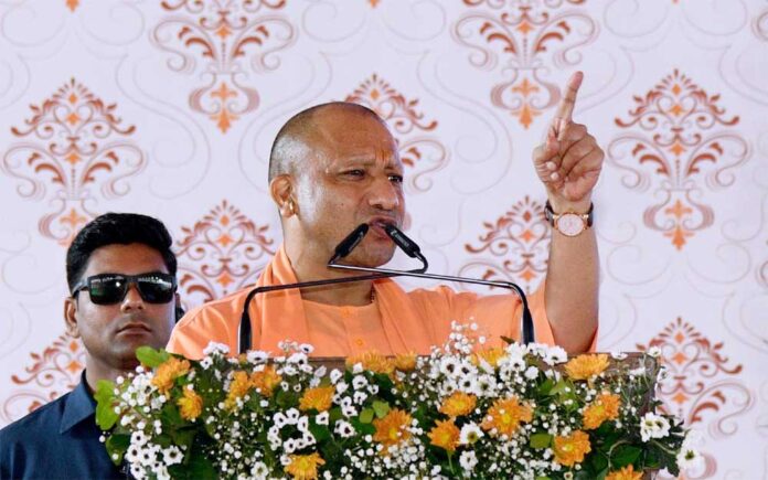 Yogi_05-2.jpg