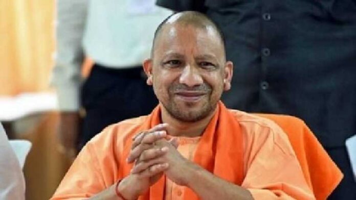 Yogi_07-20.jpg
