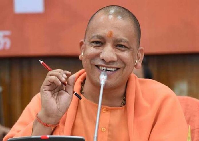 Yogi_08-2.jpg