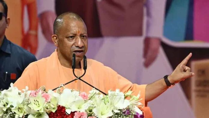 cm_yogi-28.jpg