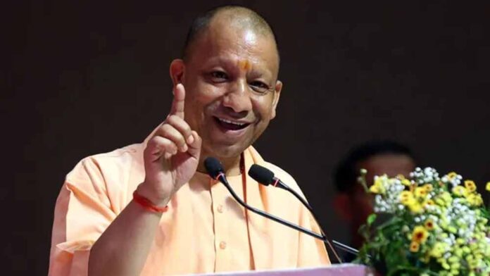 cm_yogi10-7.jpg