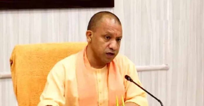 cm_yogi_10-13.jpg