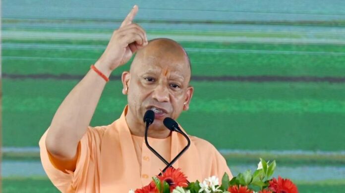 cm_yogi_11-18.jpg