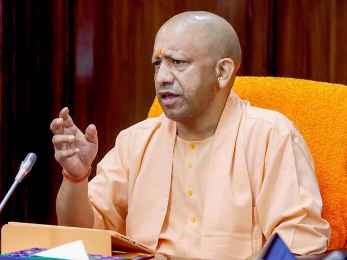 cm_yogi_12-10.jpg