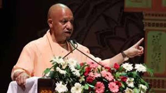 cm_yogi_2-15.jpg