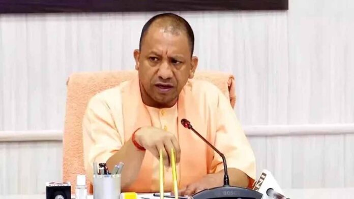 cm_yogi_5-7.jpg