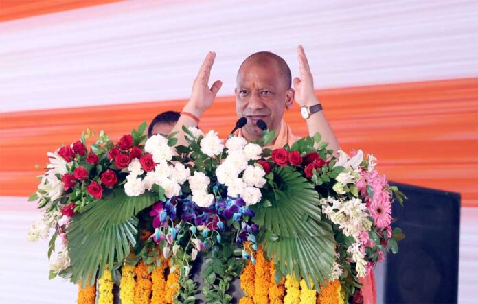 yOGI_01-14.jpg