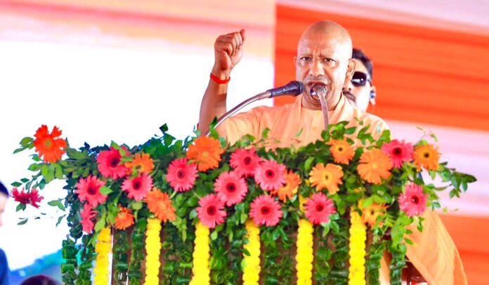 yOGI_01-24.jpg