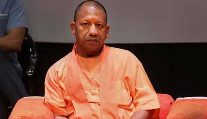 yogi_02-25.jpg