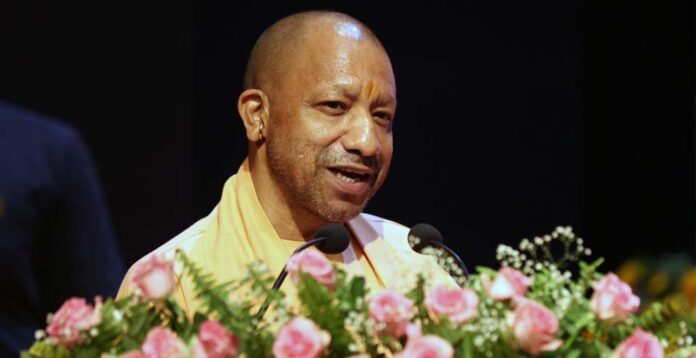 yogi_0_2_3-8.jpg
