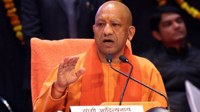 yogi_133_2-2.jpg