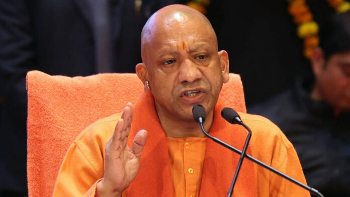 yogi_133_4-1.jpg