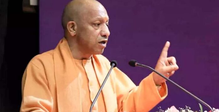 yogi_2_27_1-11.jpg
