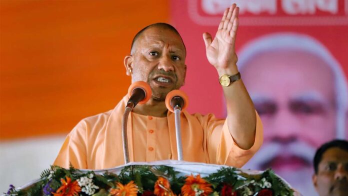 yogi_31_3.jpg