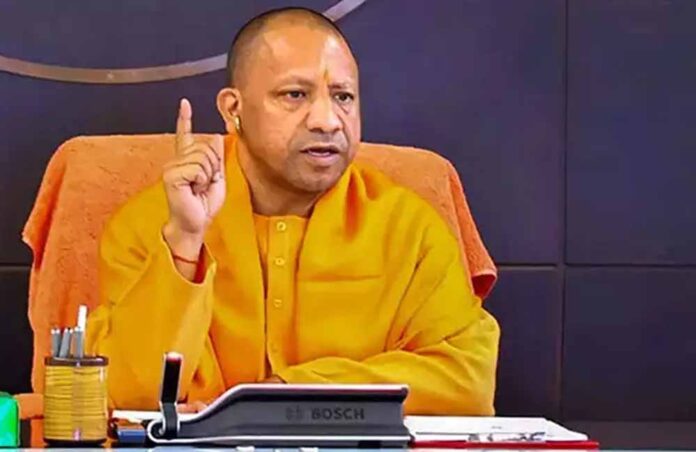 yogi_60_1-1.jpg
