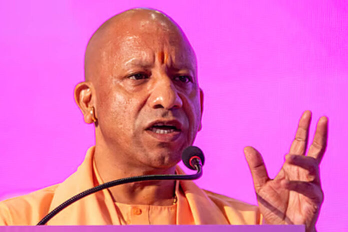 yogi_A_26_2-9.jpg